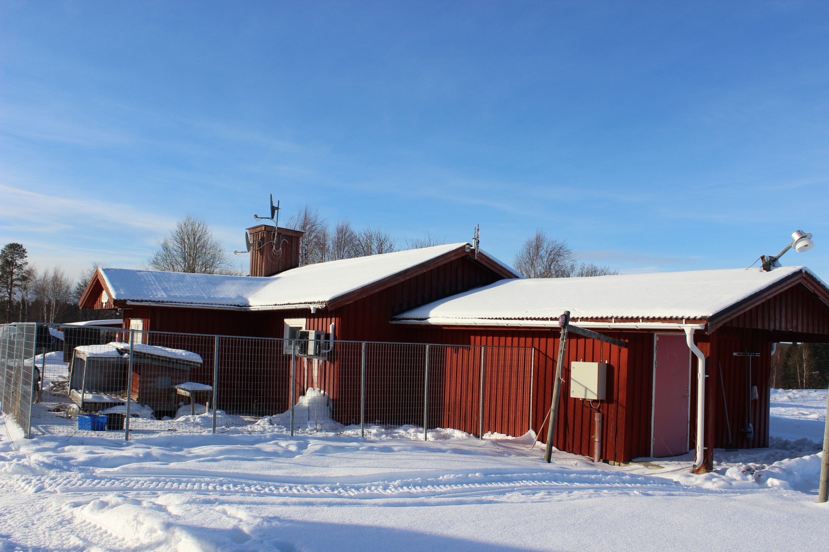 Receptionsbyggnad - hundgård