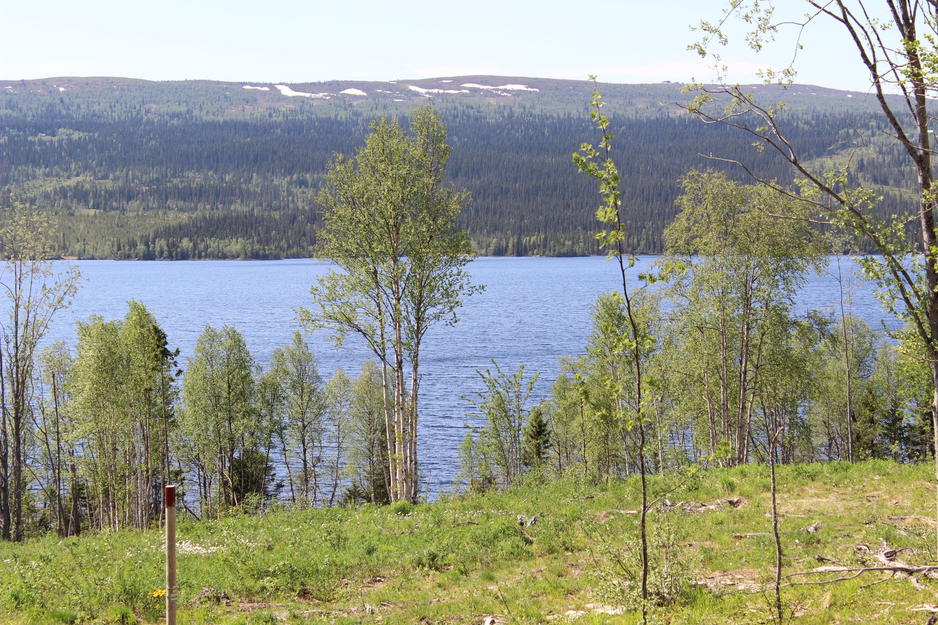 Utsikt nere vid stranden
