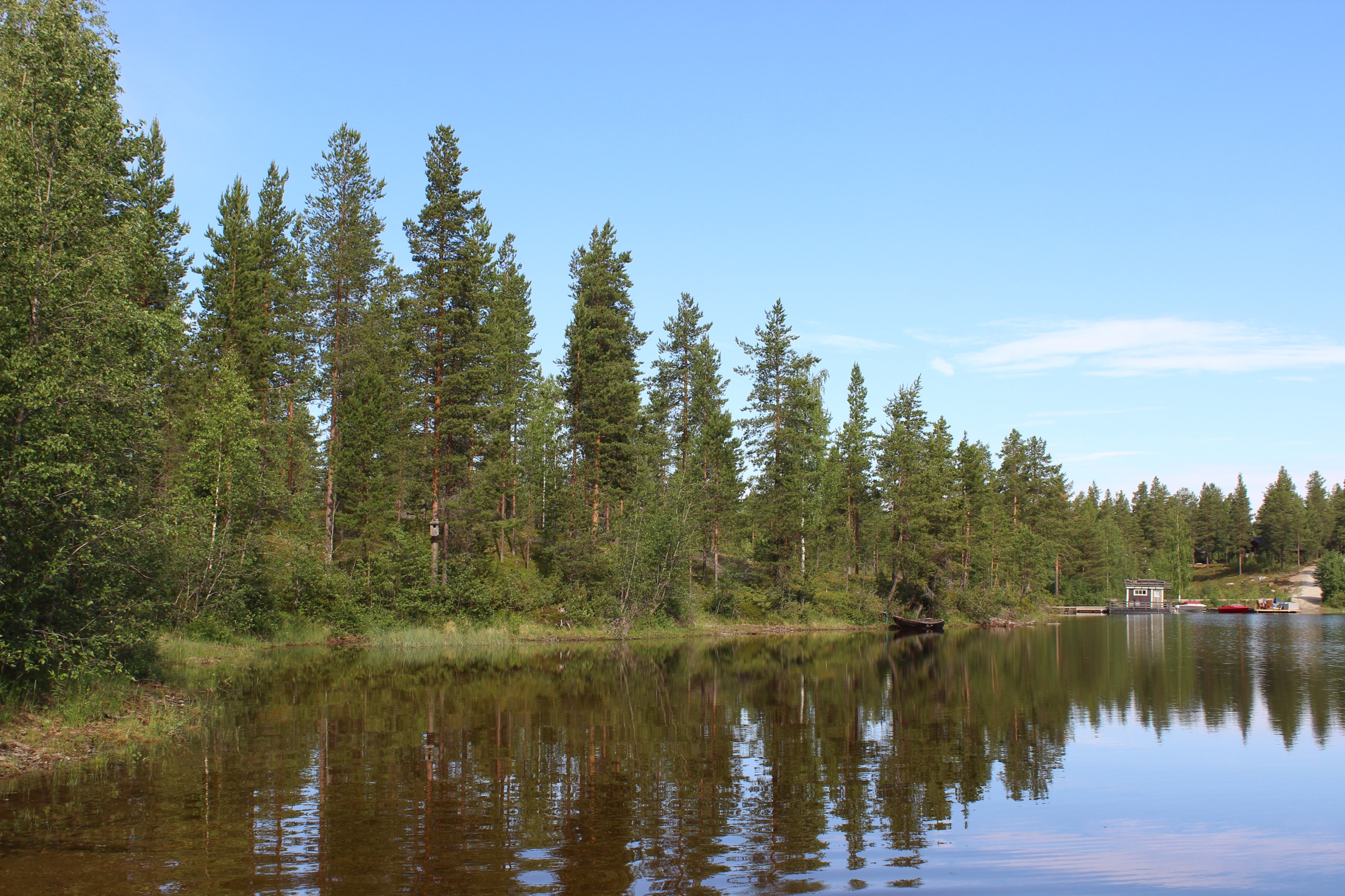 Miljöbild, sydvästra viken