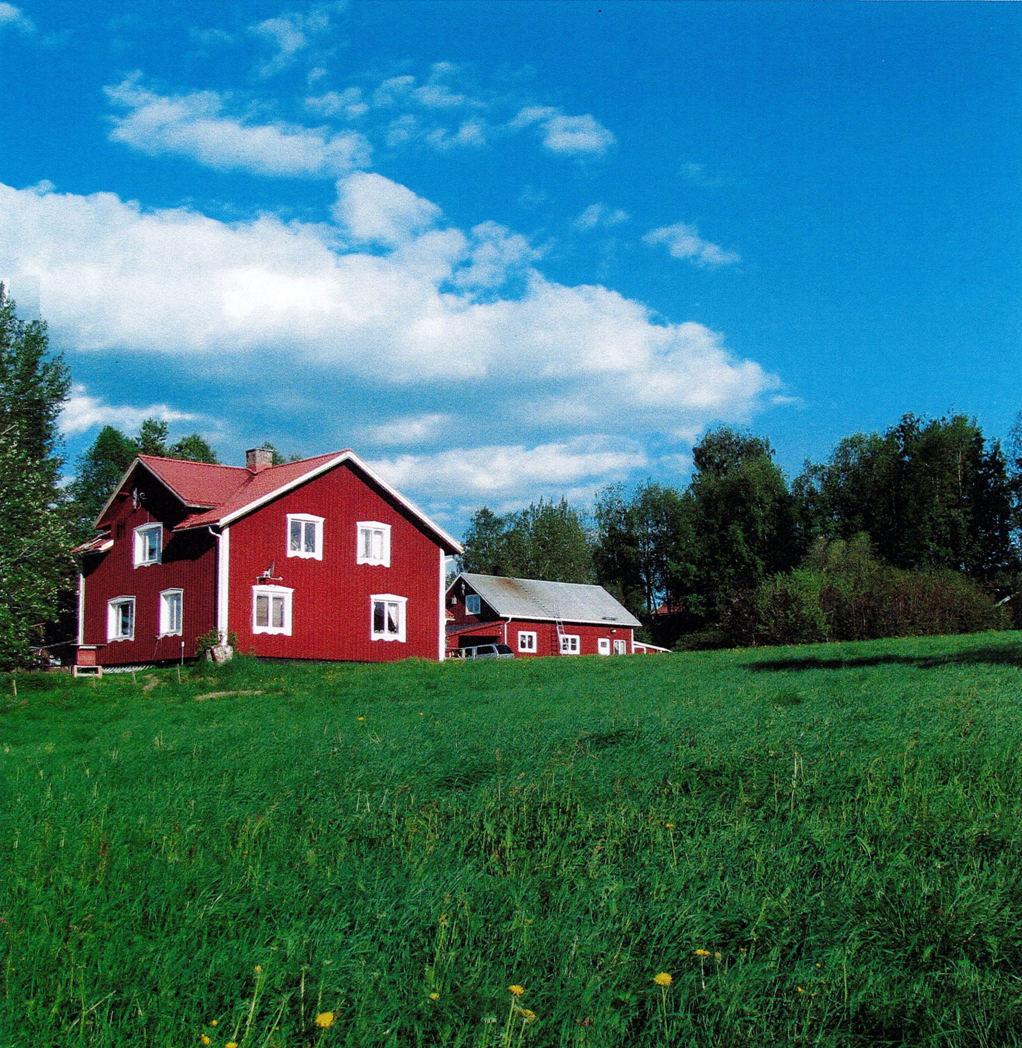 Säljarens sommarbild 2