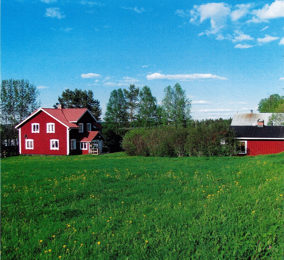 Säljarens sommarbild 1