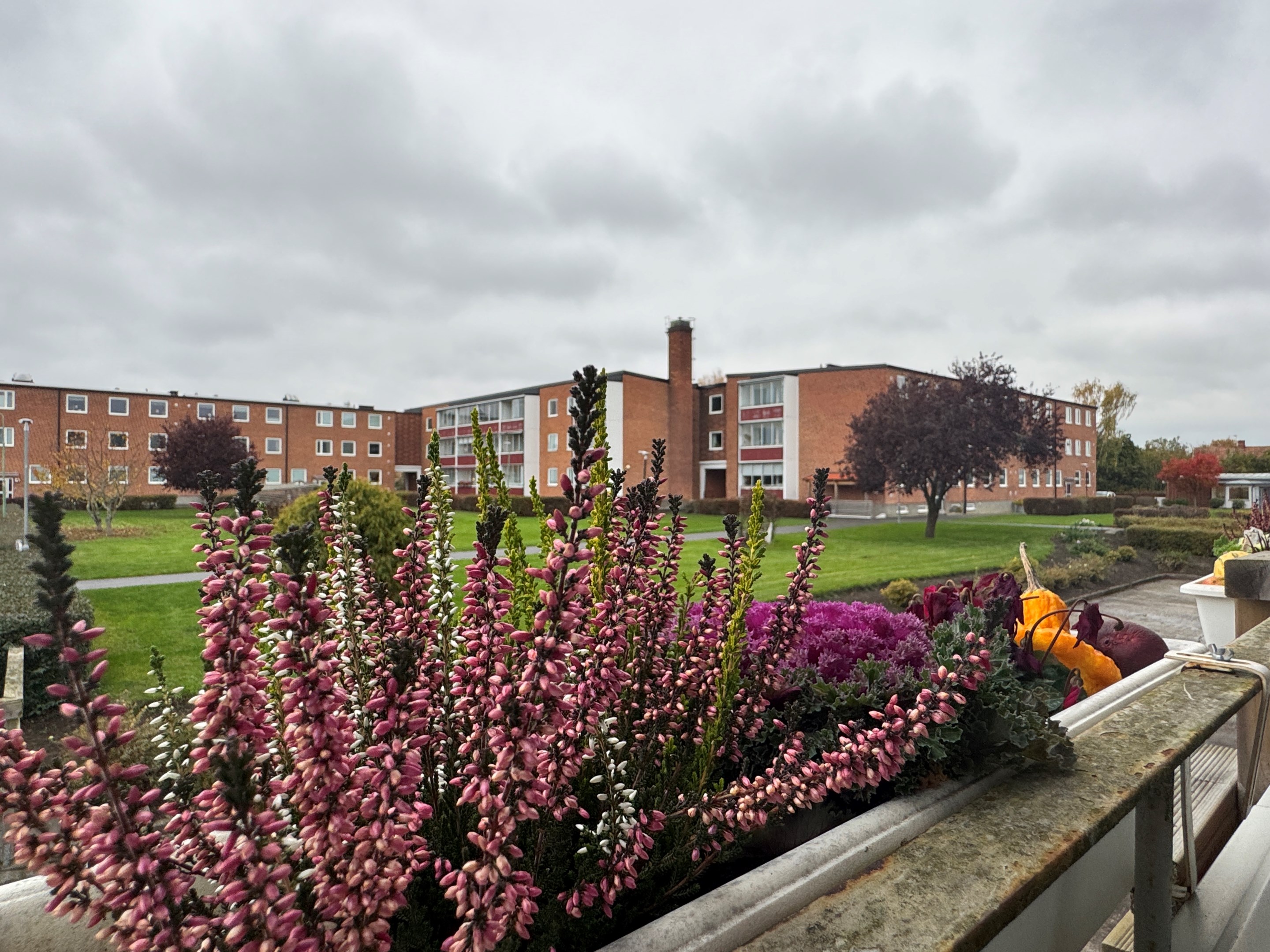 Vacker utblick från balkongen
