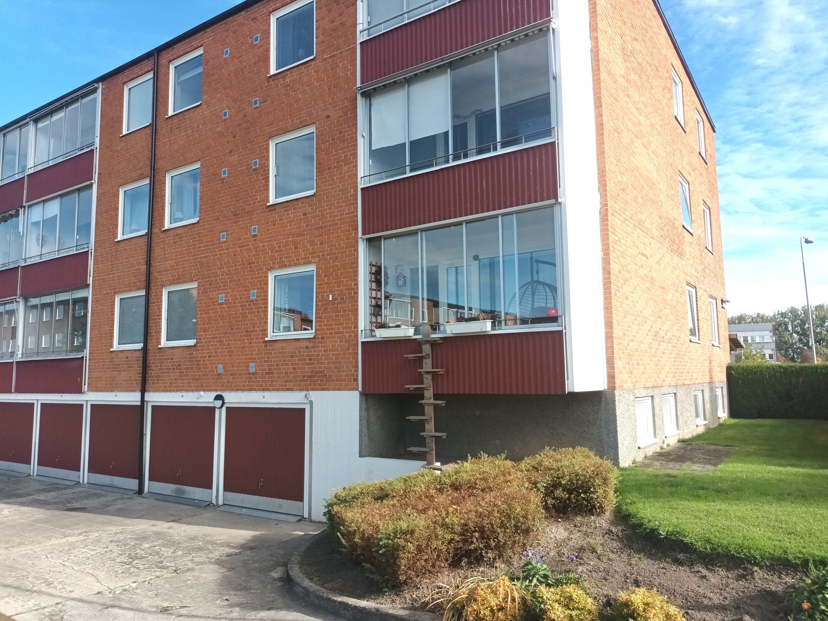 Finfin 2:a på första plan