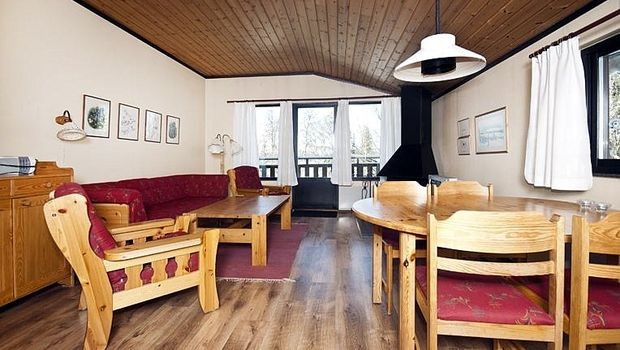 Storstuga med eldstad och utgång till terass.