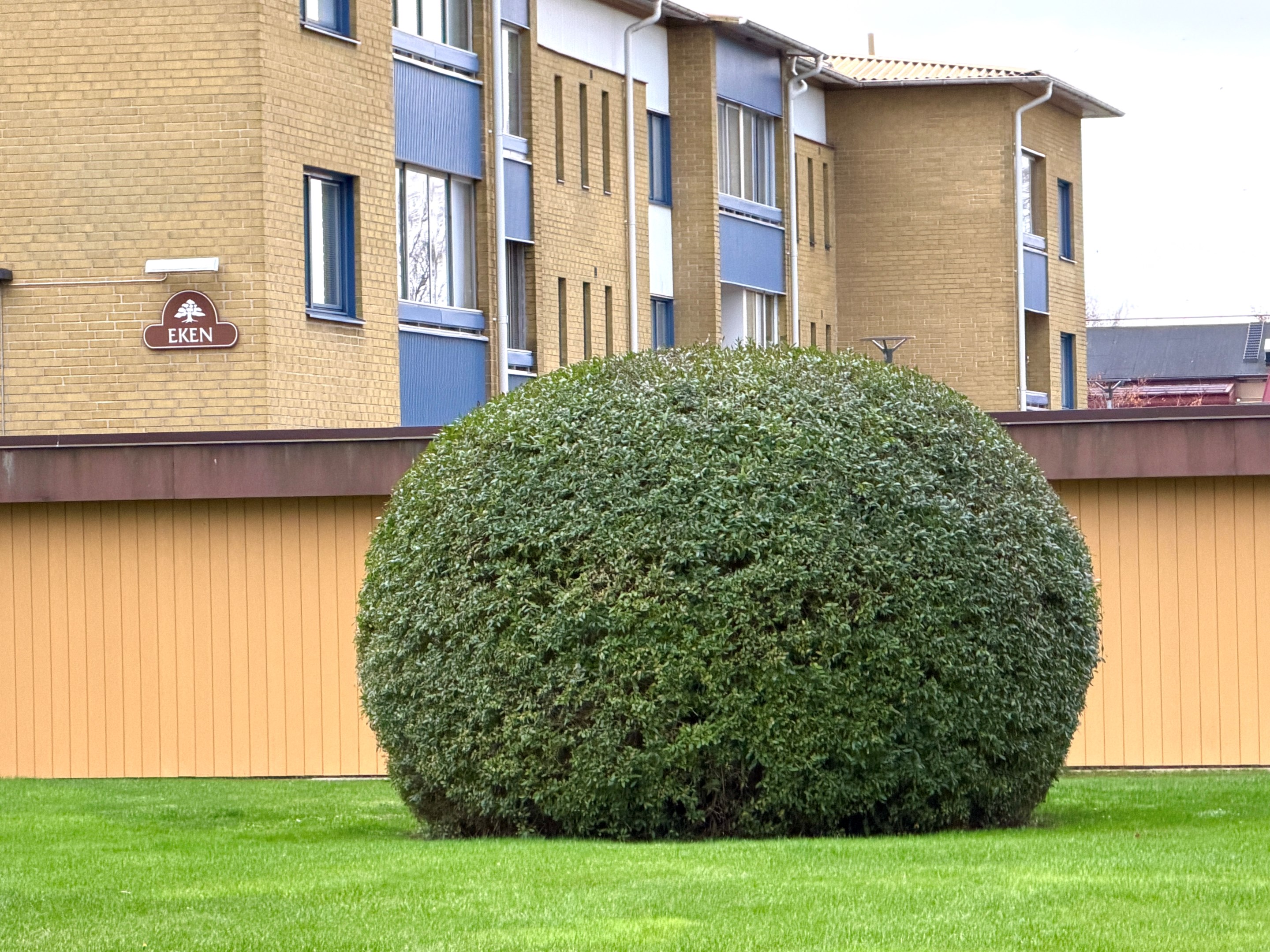 i en välskött HSB-förening