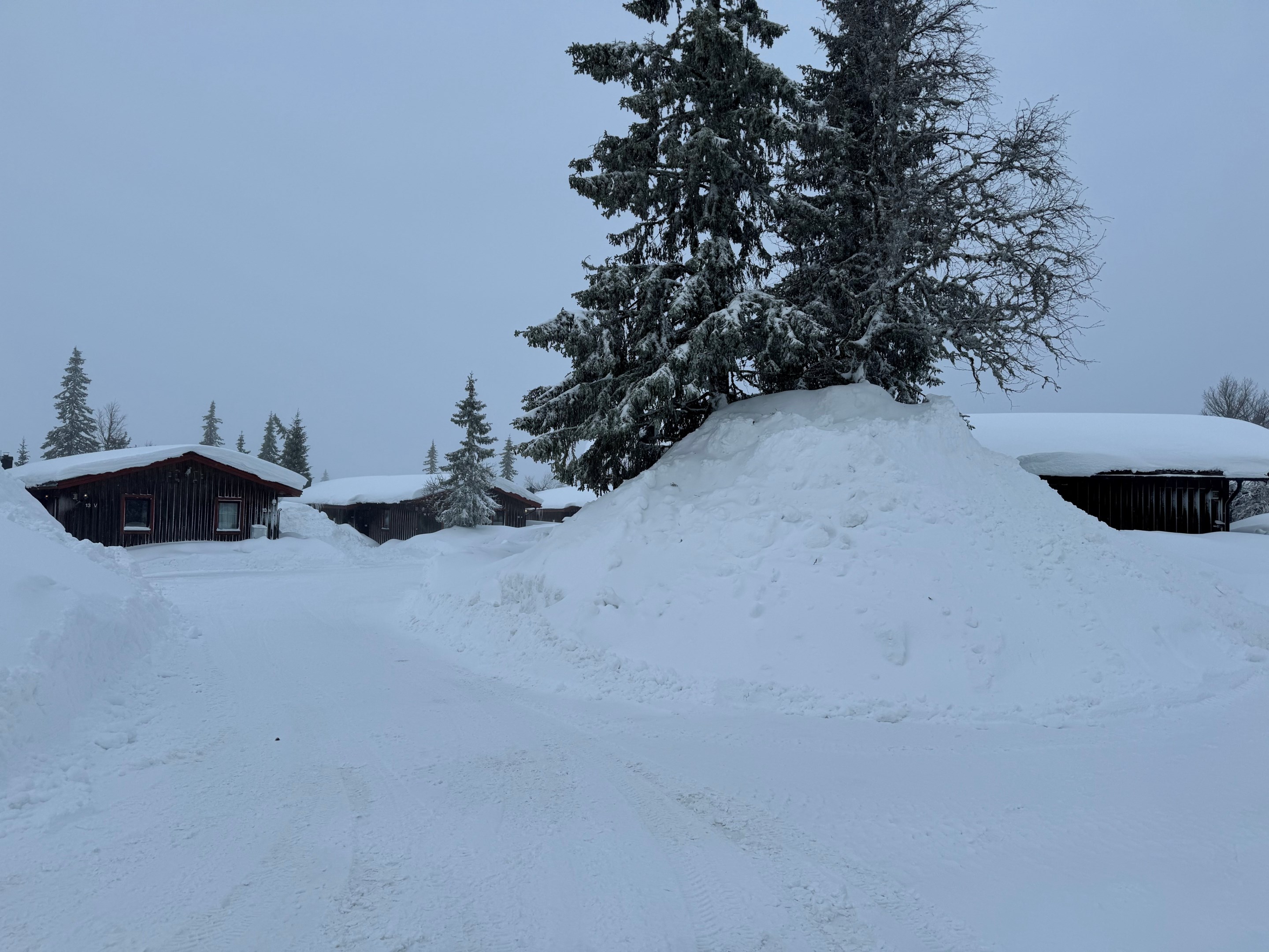 Rofylld plats även när vinden viner.