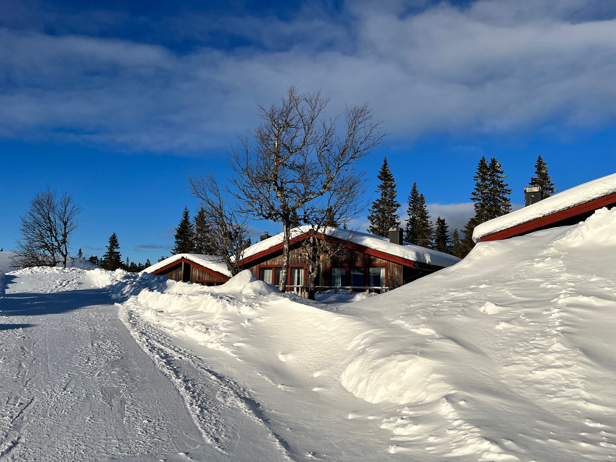 Miljöbild Storfjällsbyn