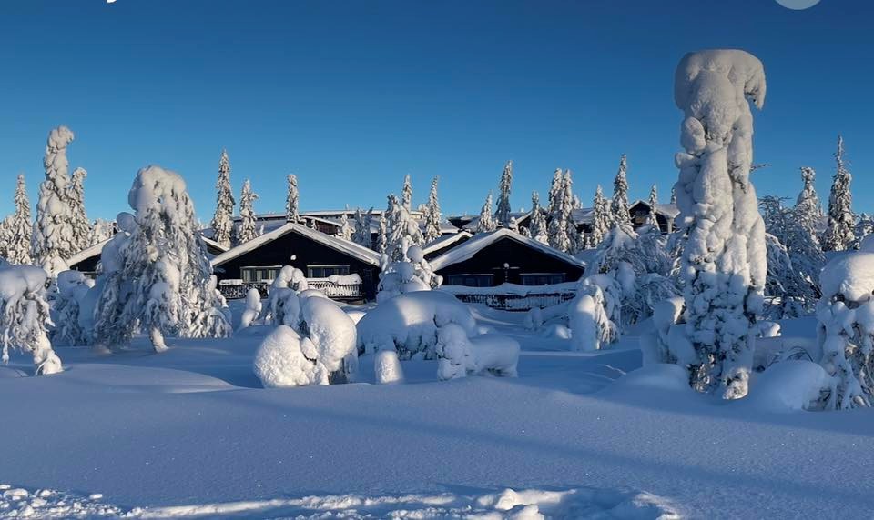 Hemfjällsbyn midvinter