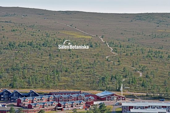 Sälen Botaniska är som en liten pärla uppe på fjället. Här kan man strosa runt bland fjällväxter