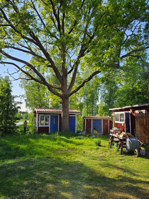 Säljarens privata bilder