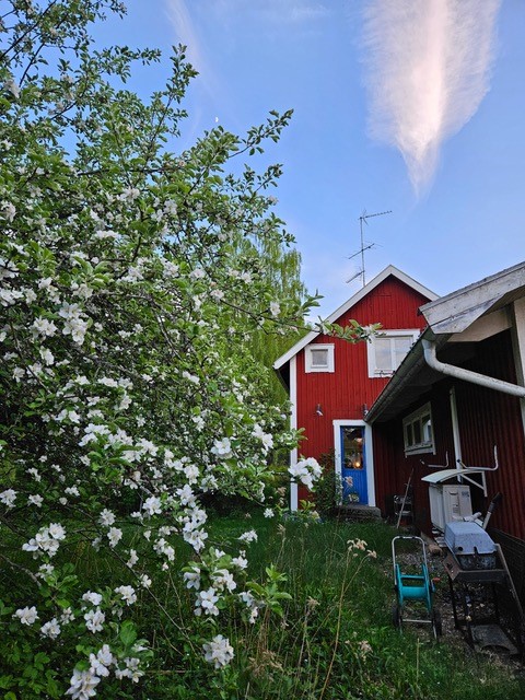 Säljarens privata bilder