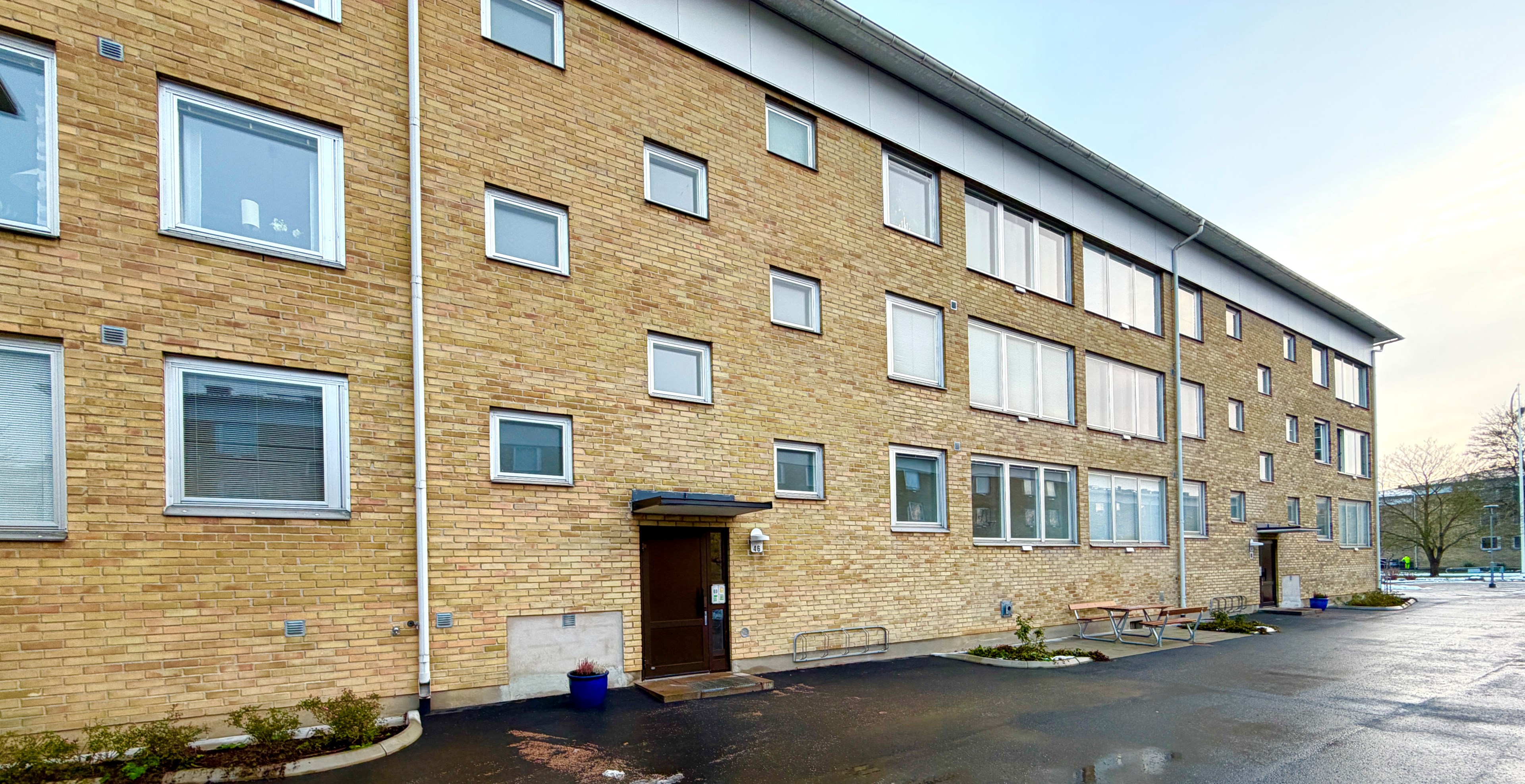 Liten trea på G Näsby