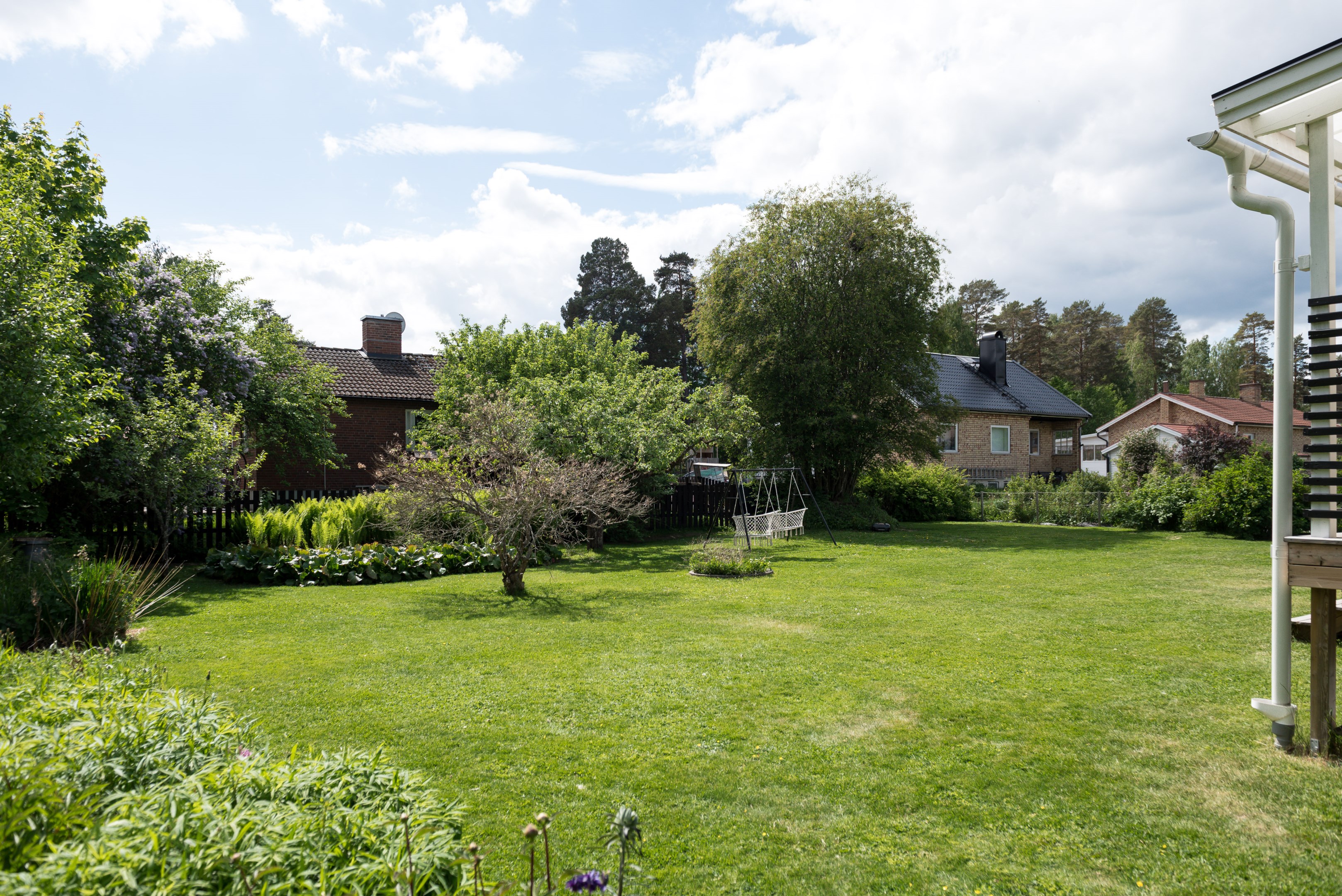 Trädgård