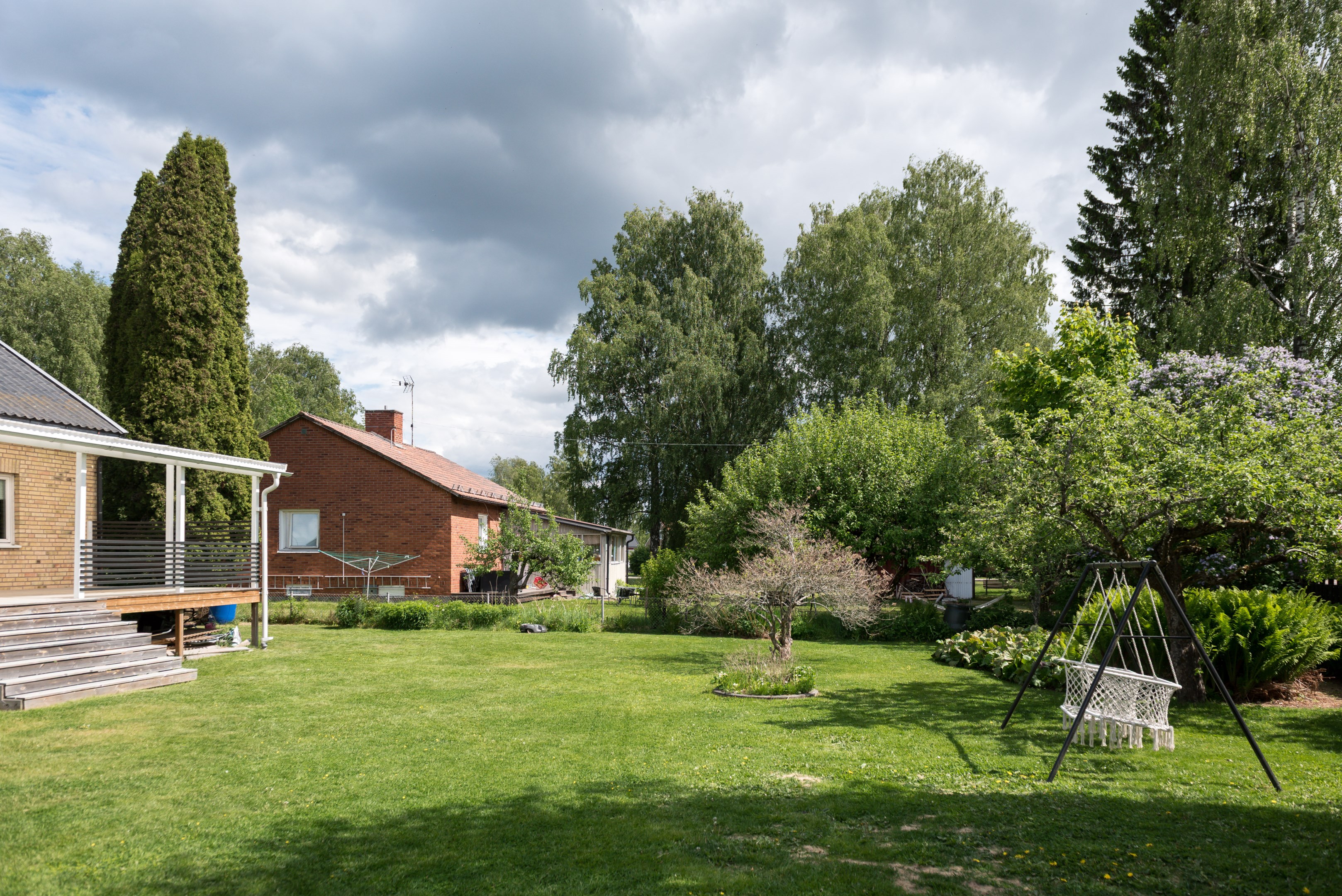 Trädgård