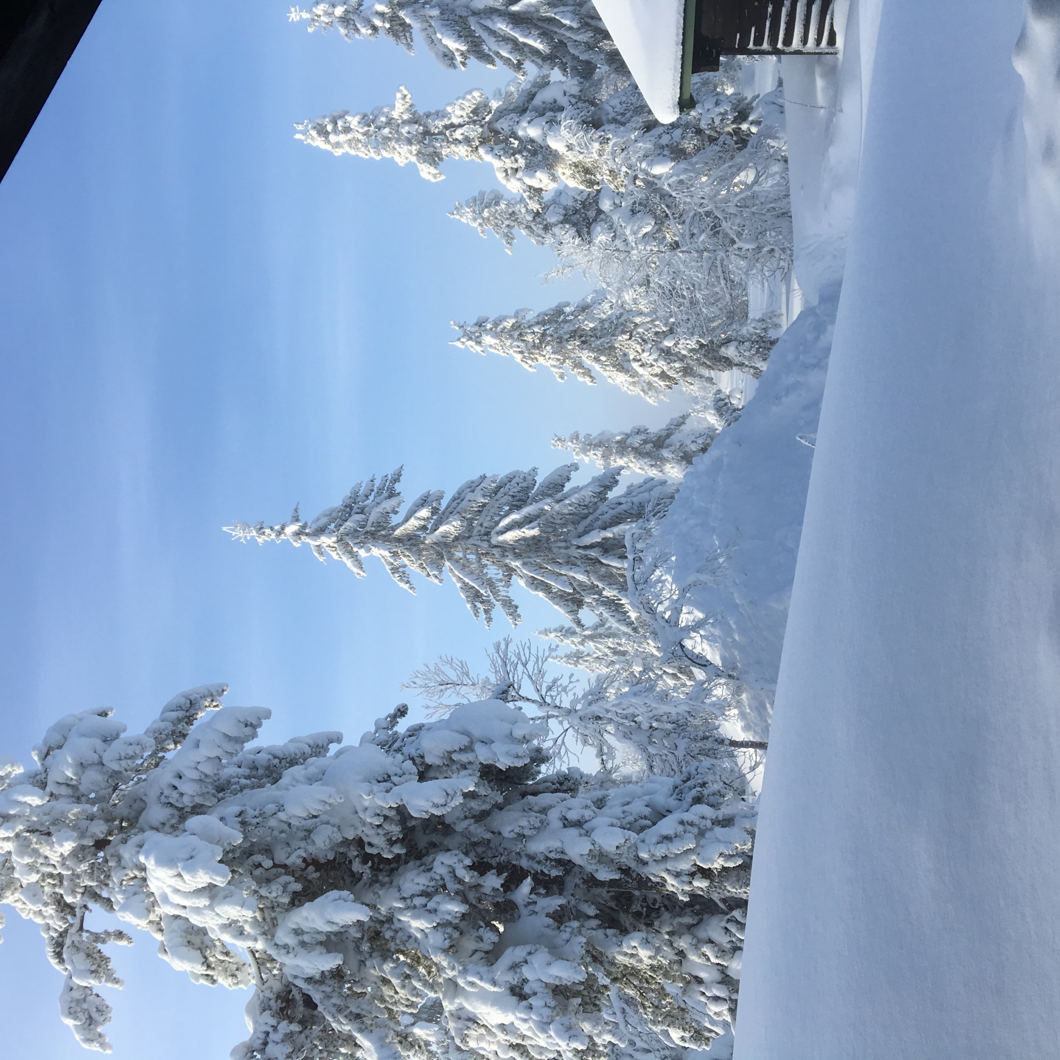 Bild 14 Rimfrost