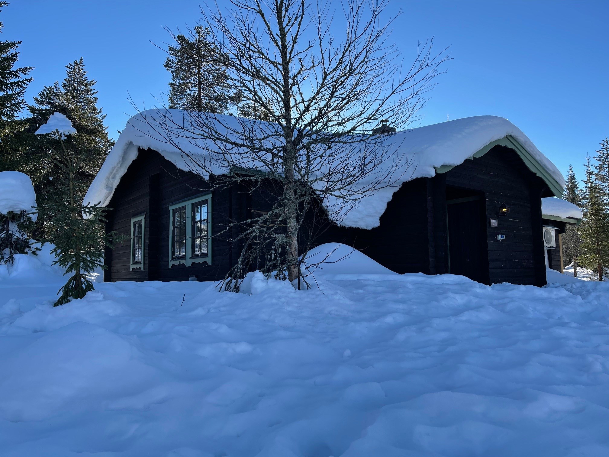 2. Tjädern