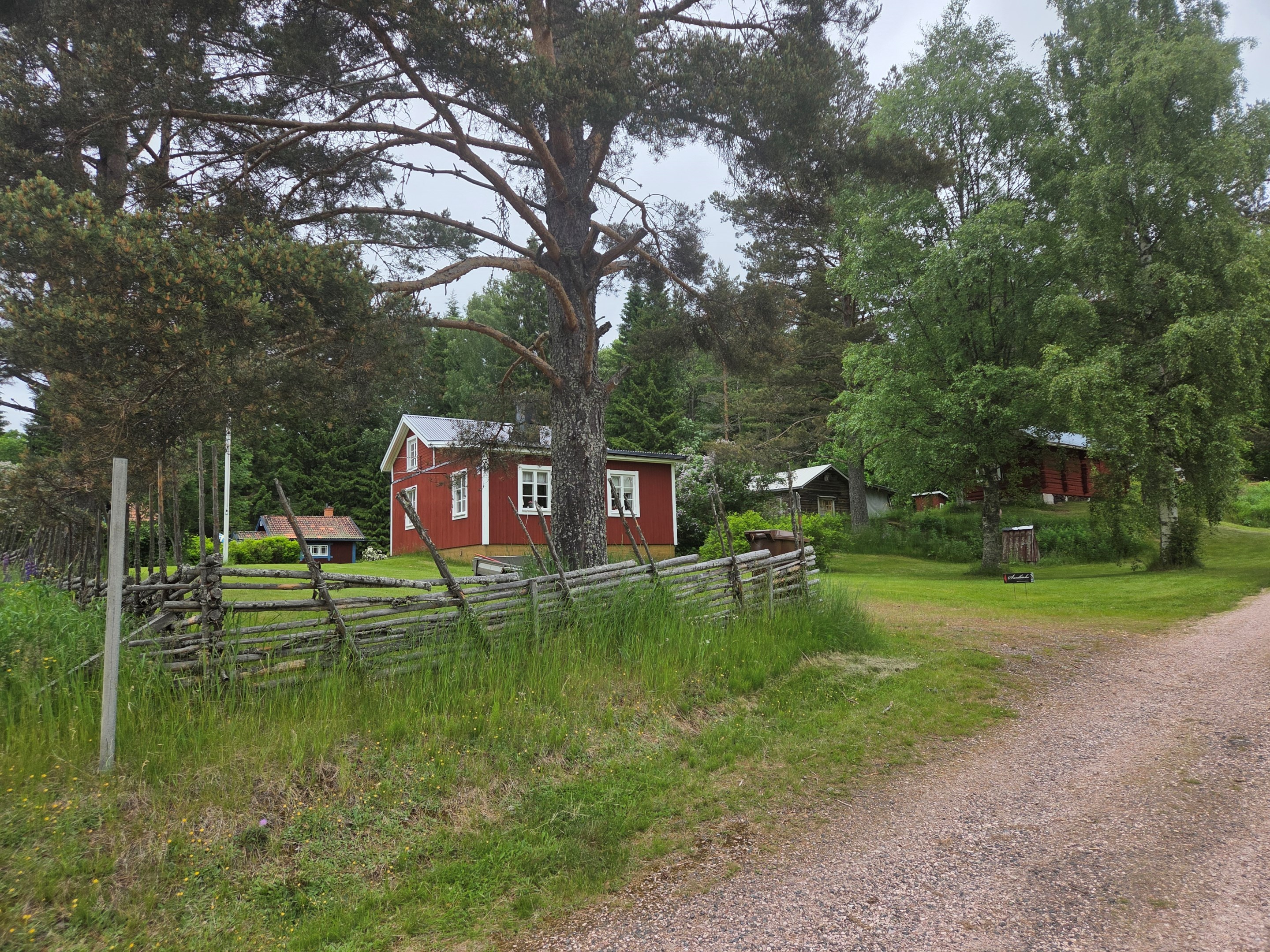 Vybild