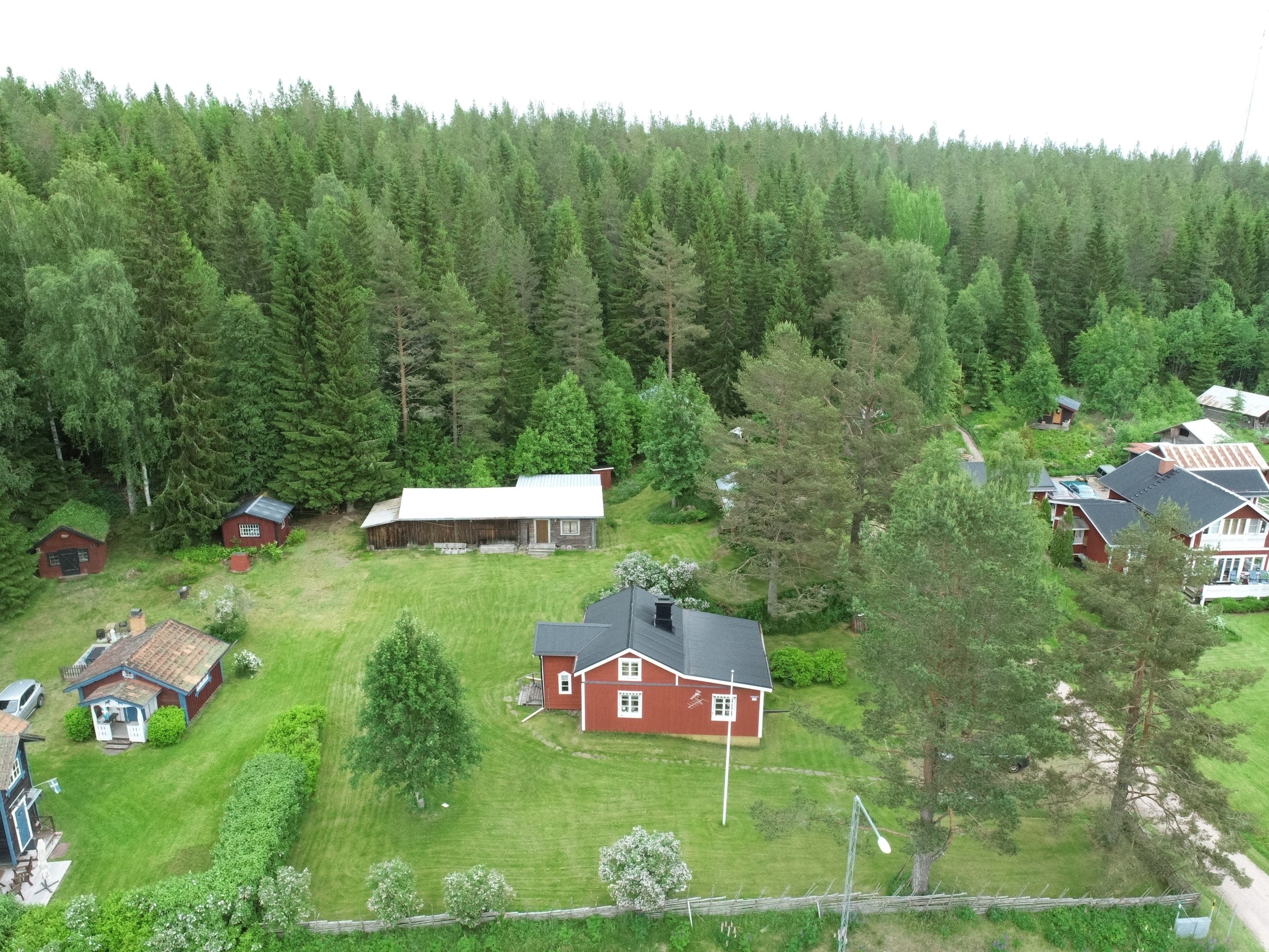 Vybild