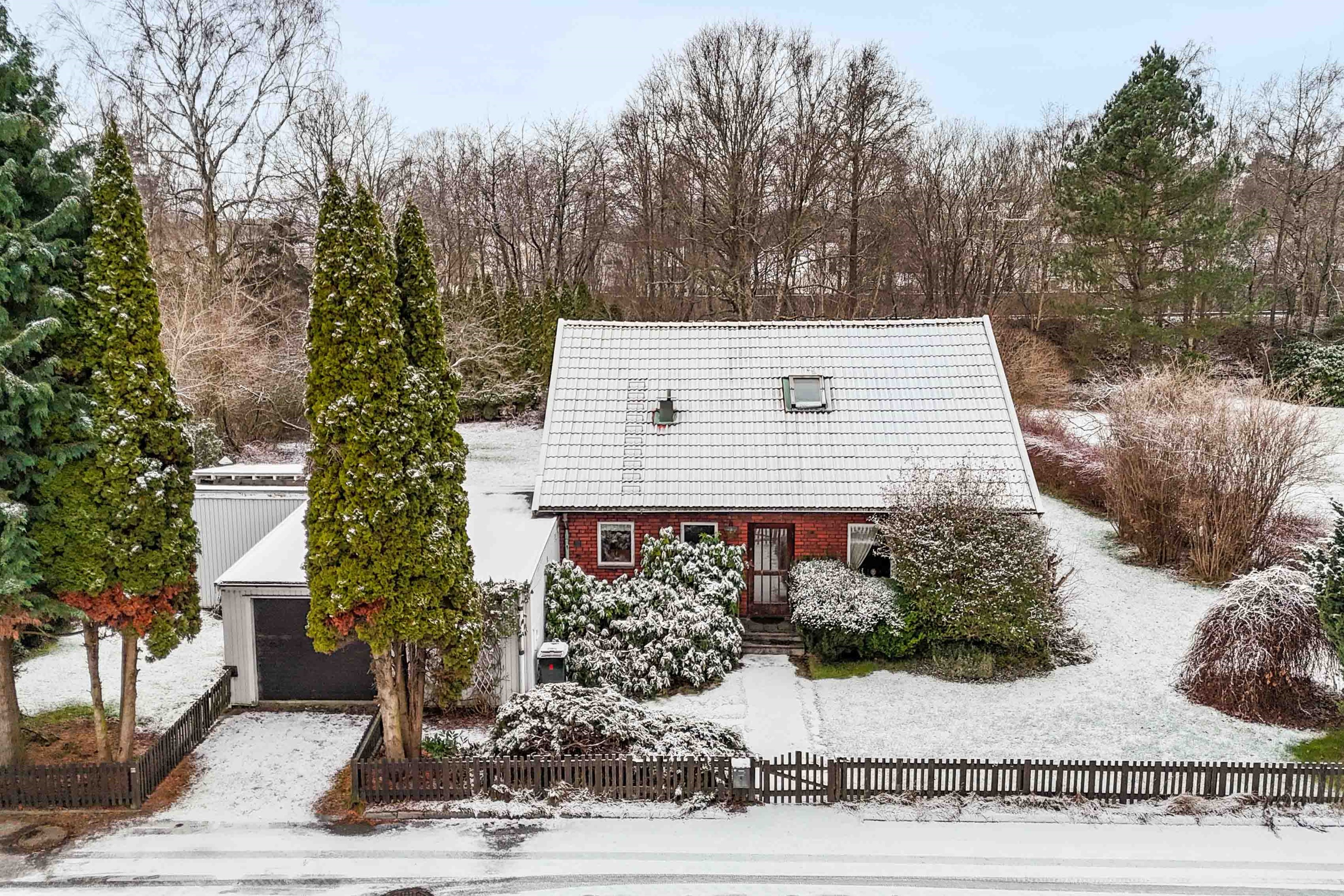 Grönskande trädgård