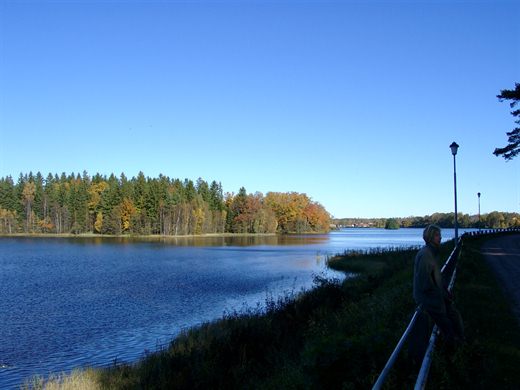 Hammarsjön