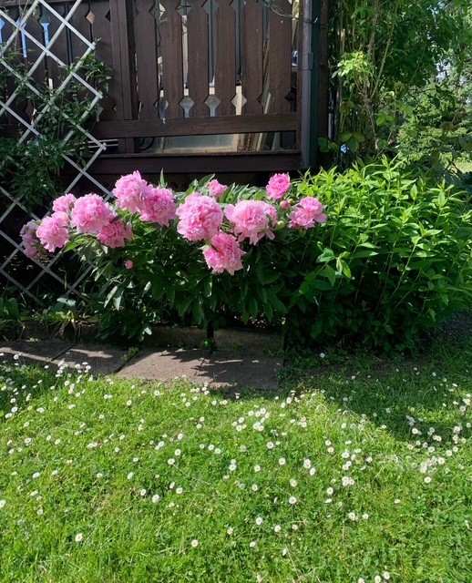 Snart är det sommar