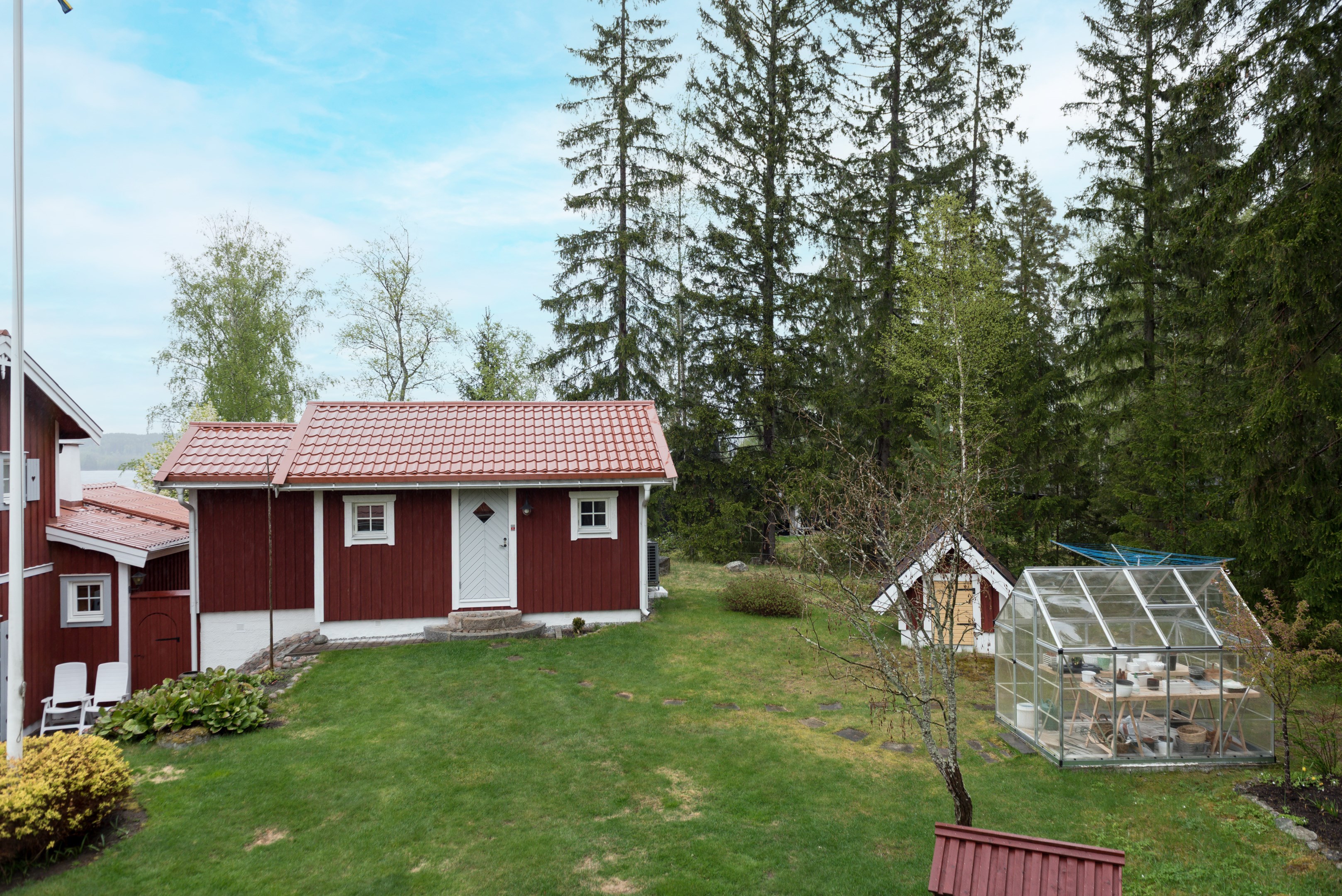 Trädgård