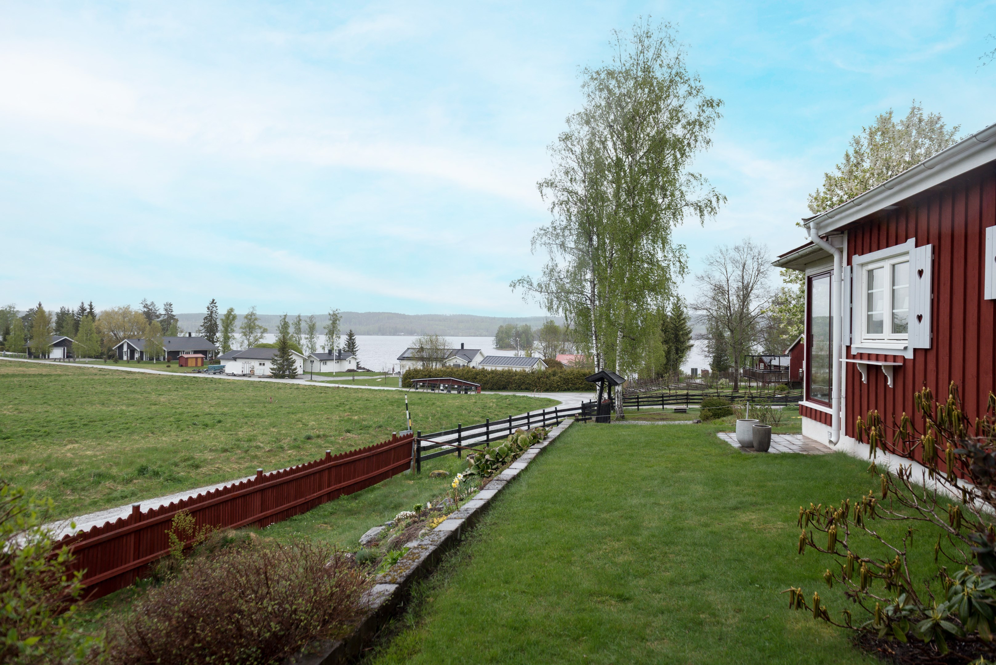 Trädgård