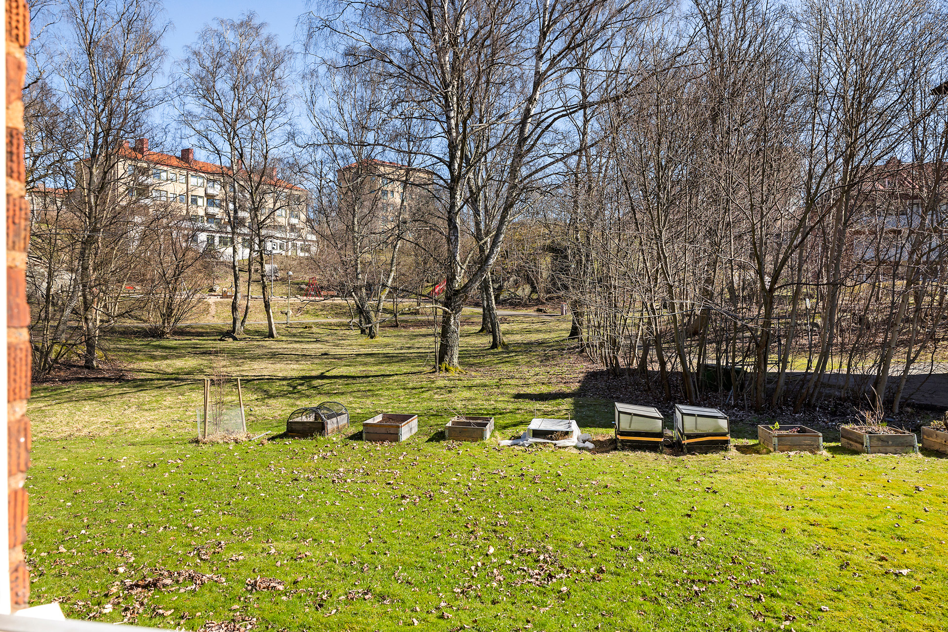 Utsikt från köksbordet