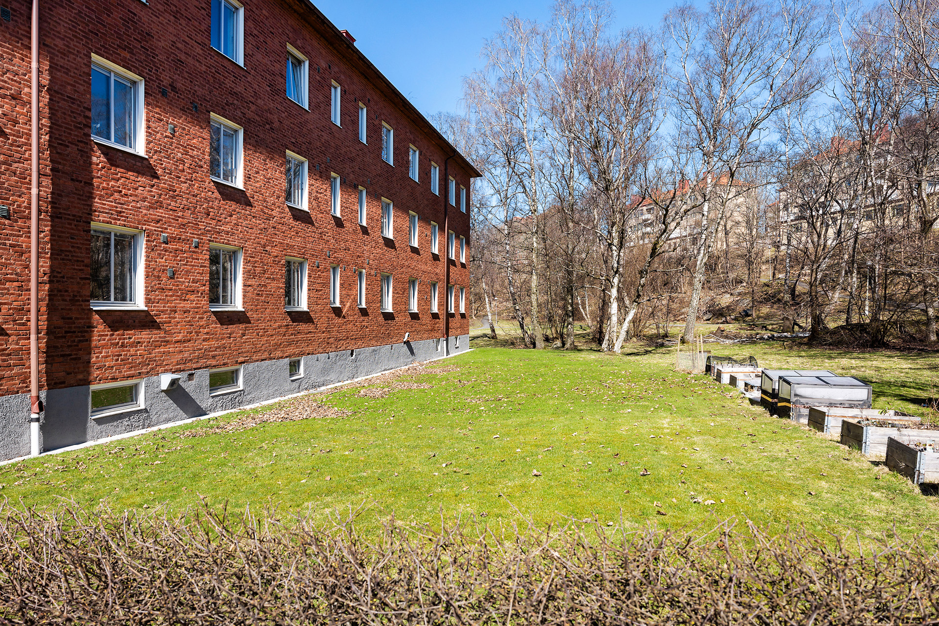 Odlingsboxar i trädgården