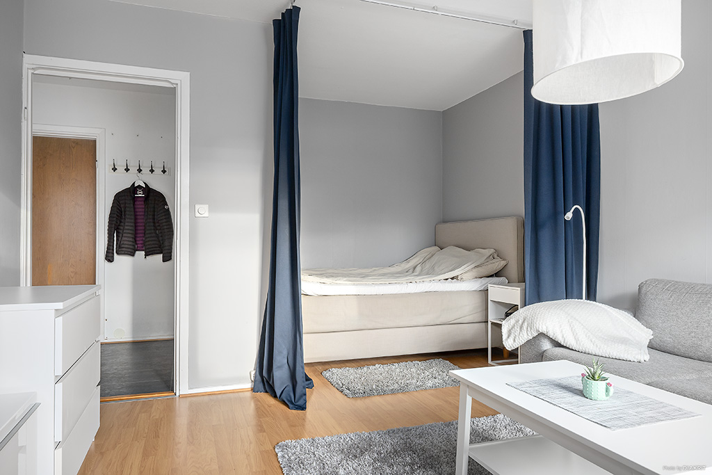 Vardagsrum med sovalkov