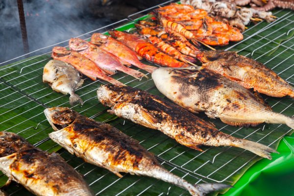 grilla-fisk