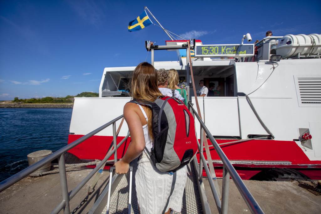 Lågupplöst Tillbaka till naturen
