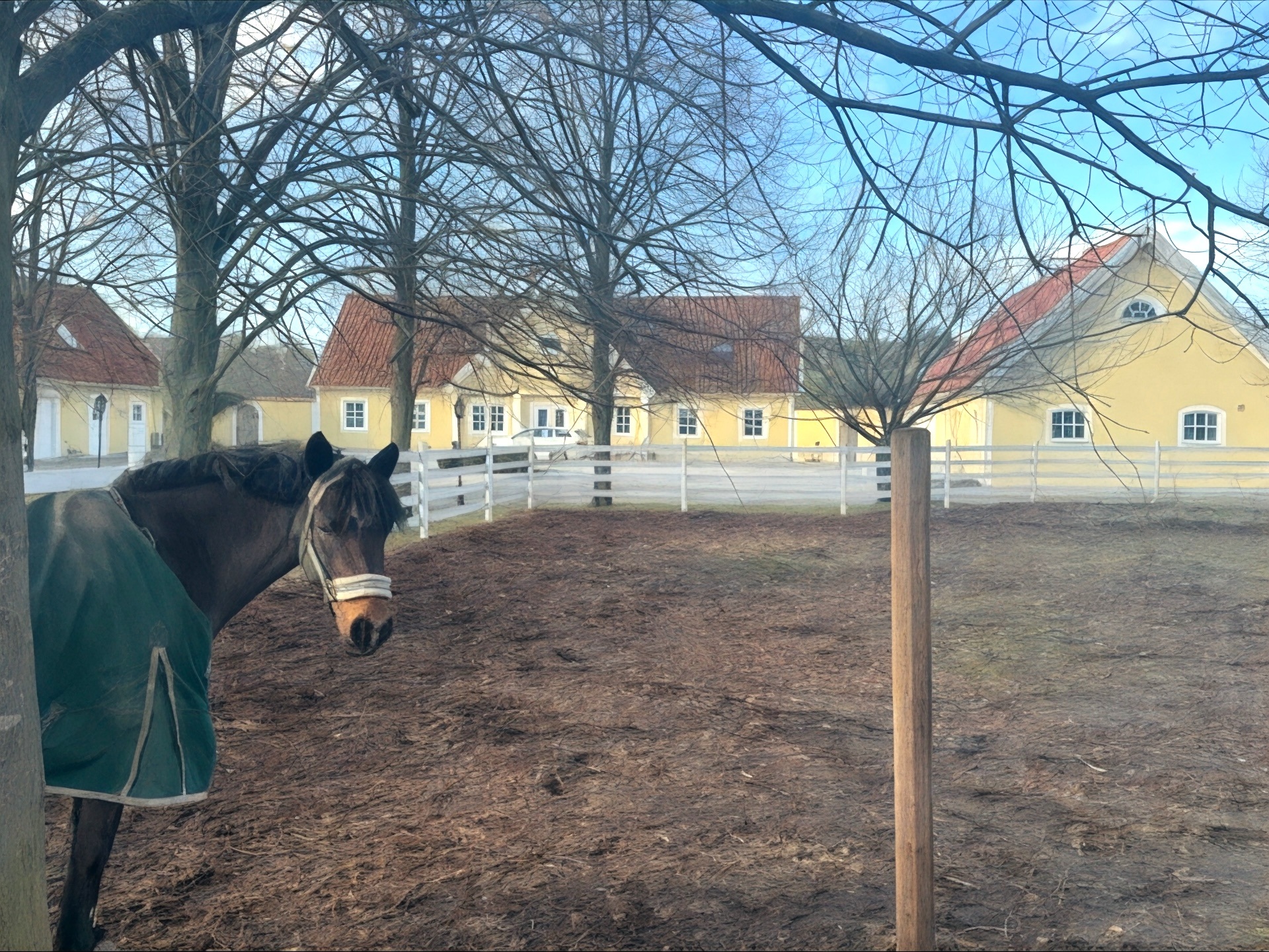 Här hälsar hästarna oss välkomna