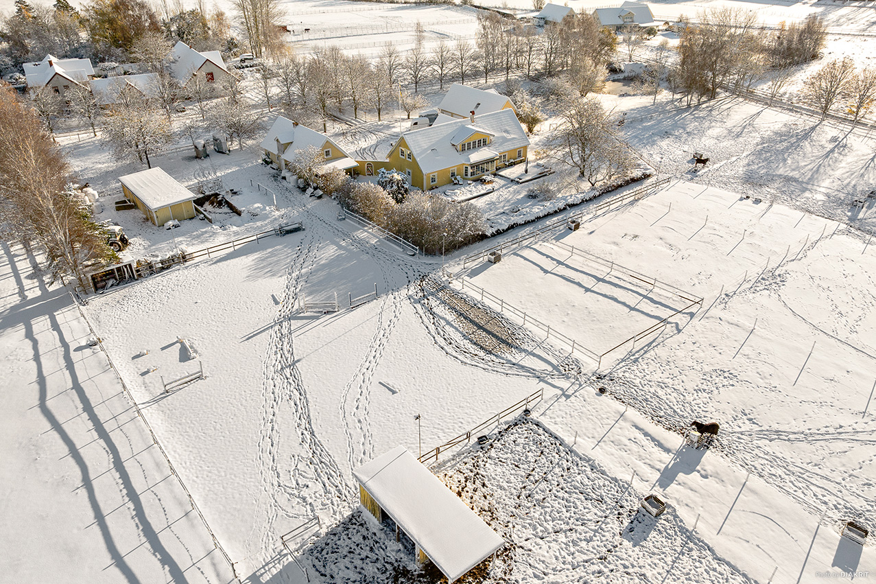 Hagar, paddock och omgivning