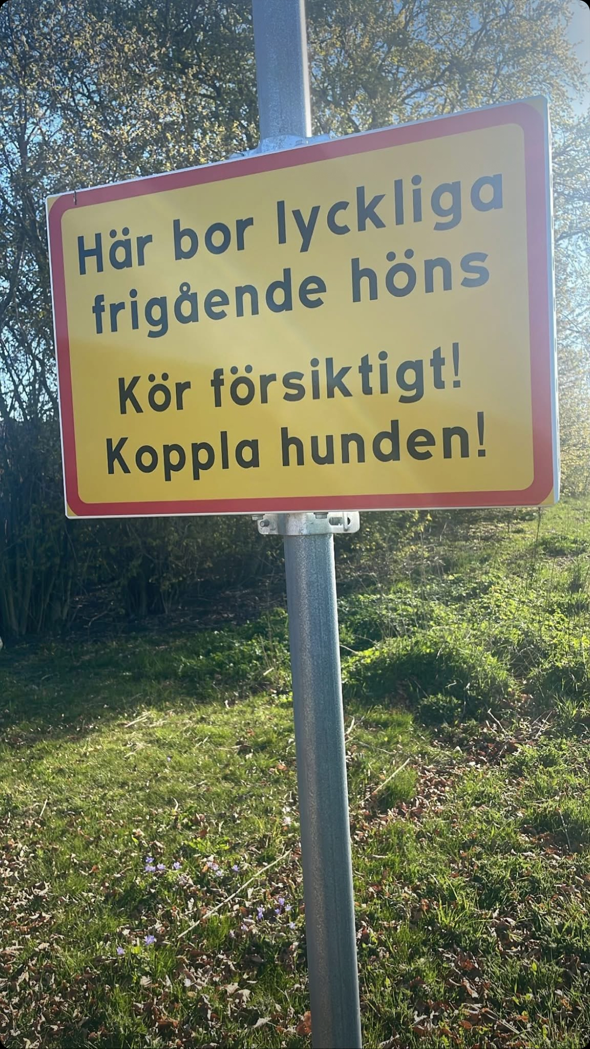 Välkommen!