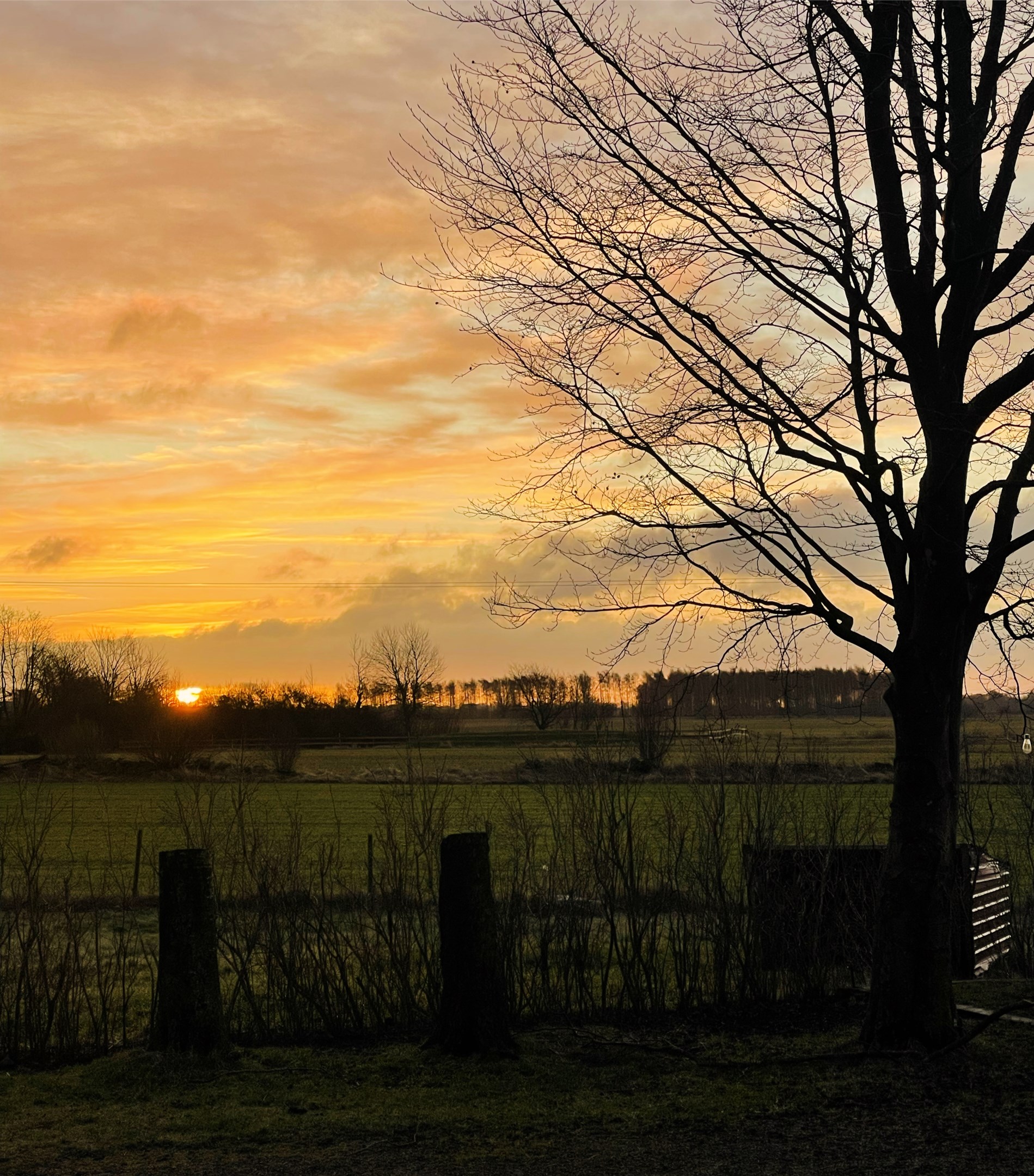 Drömmen om landsbygd