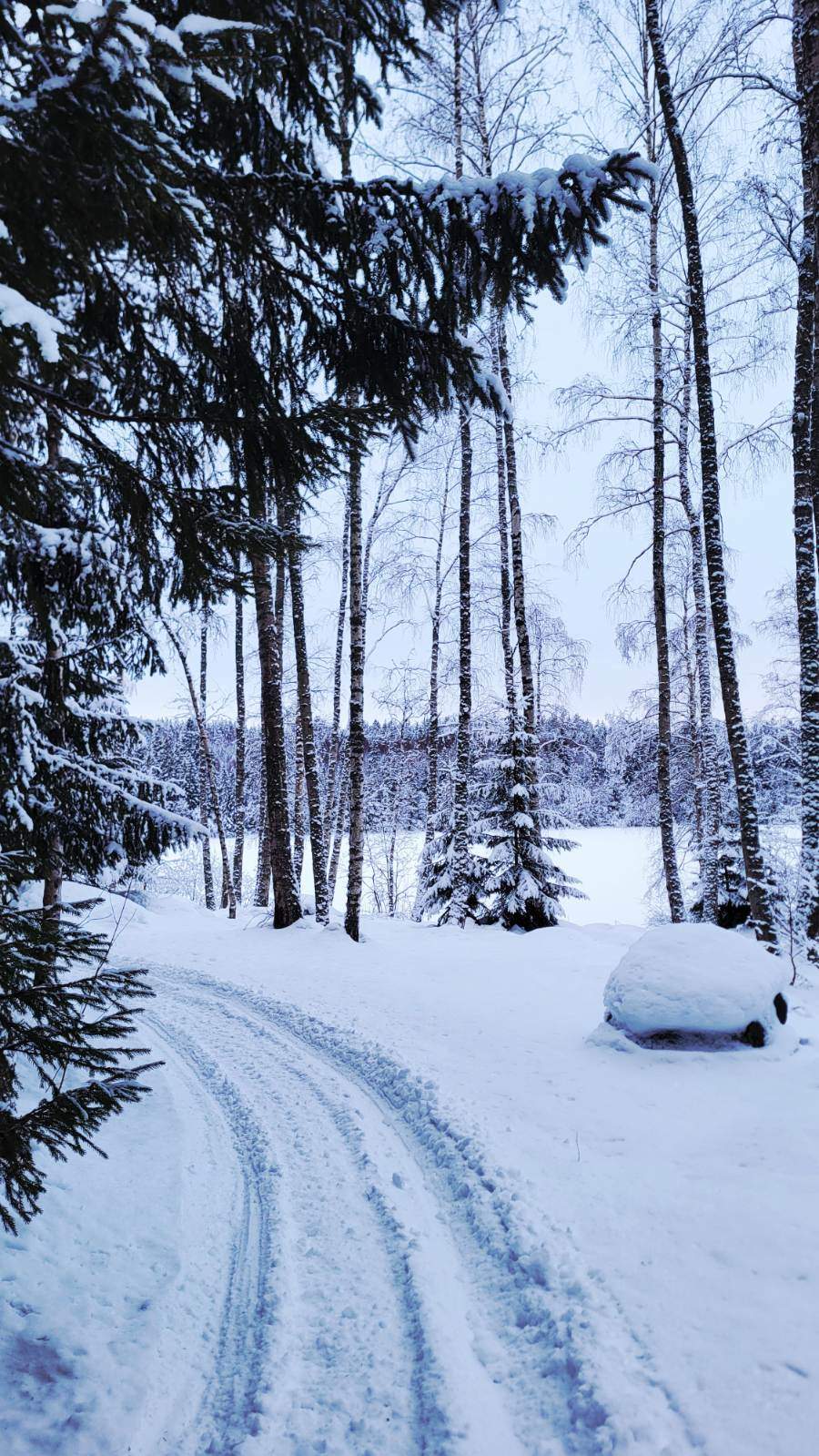 Skoterspår runt knuten