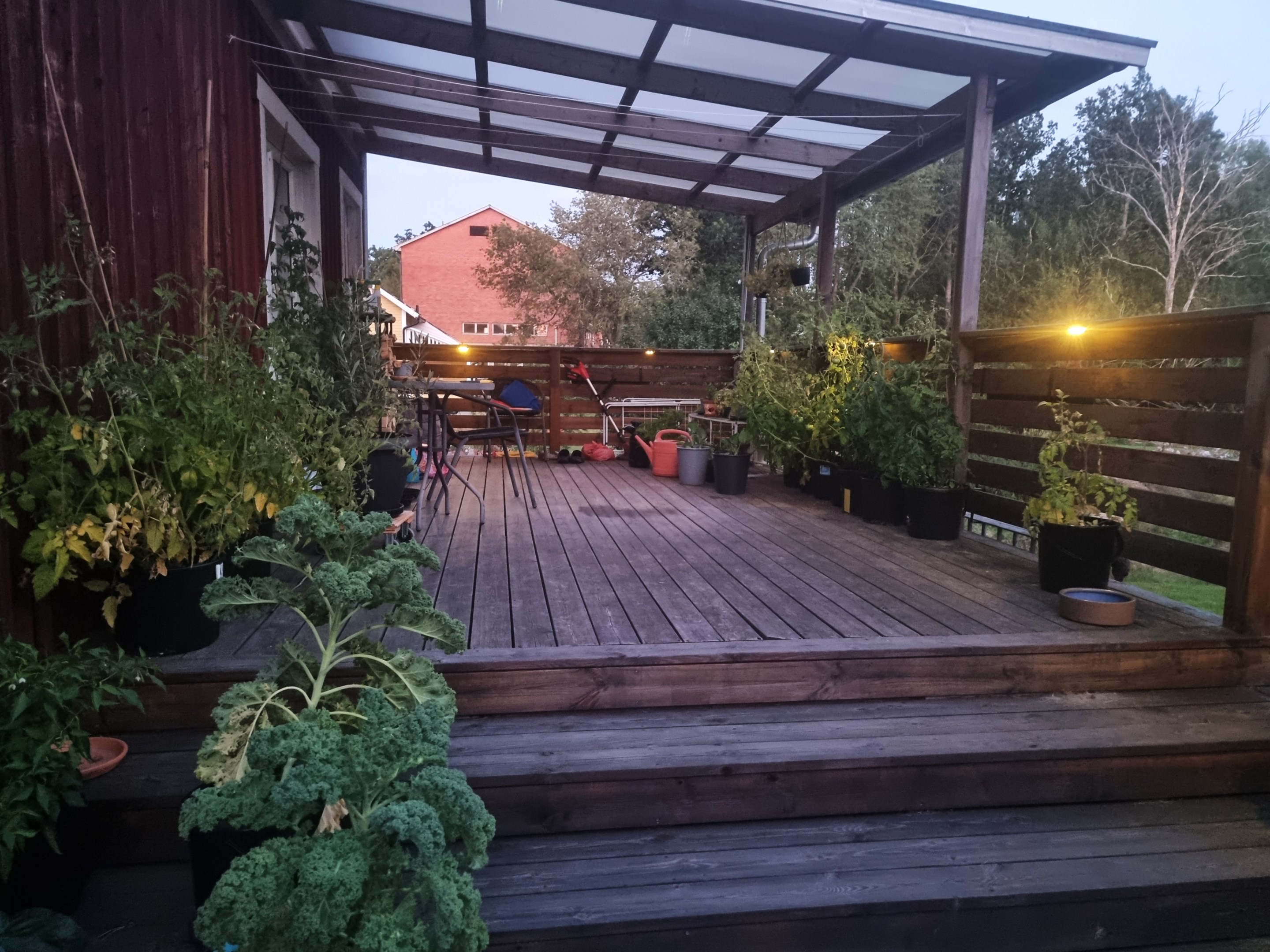 Säljarens sommarbild på uterummet