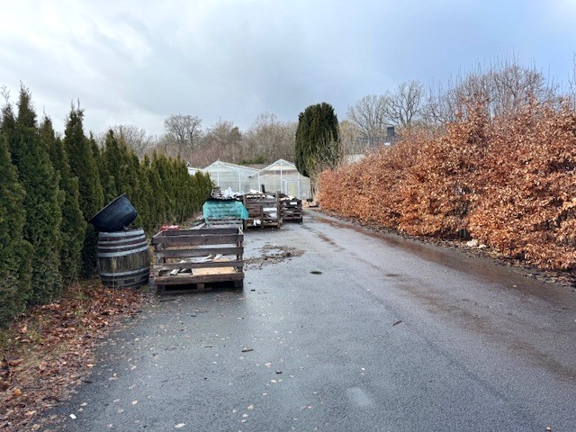 Asfalterad infart till växthus