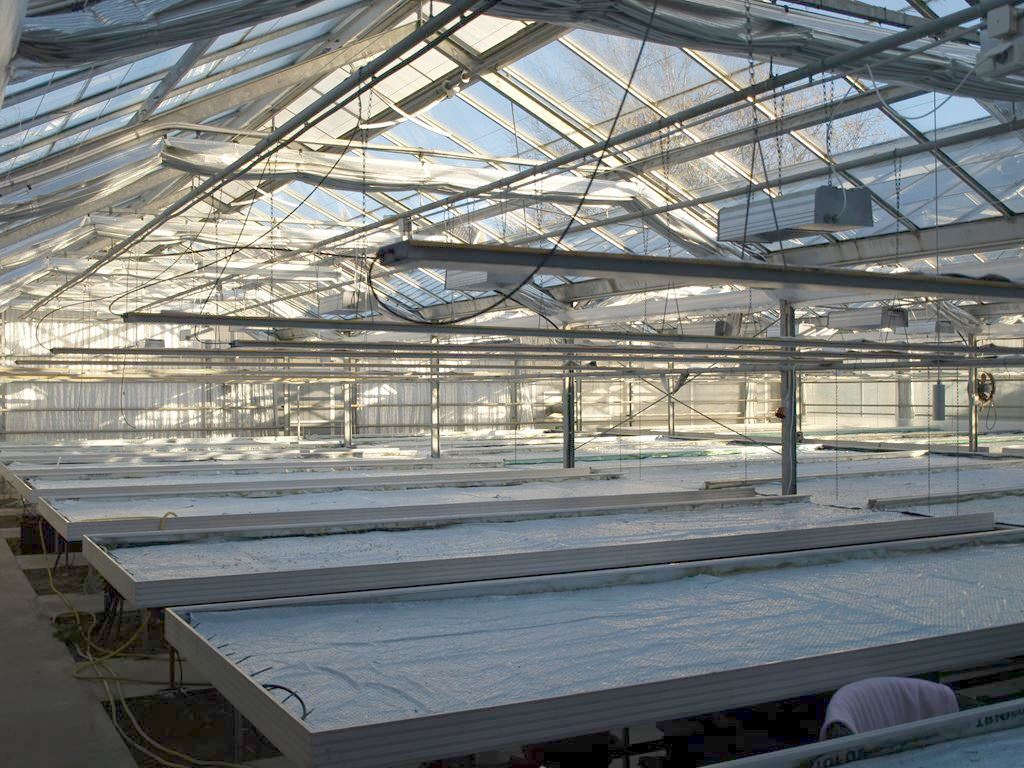 Växthus (äldre bild)