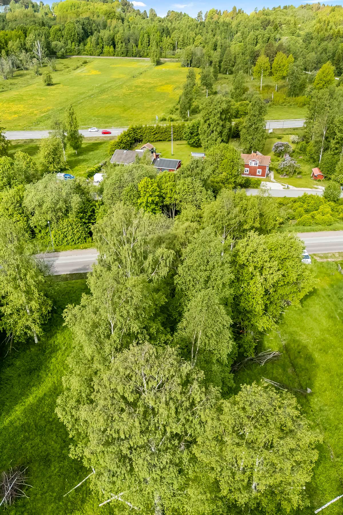 Översikts bild