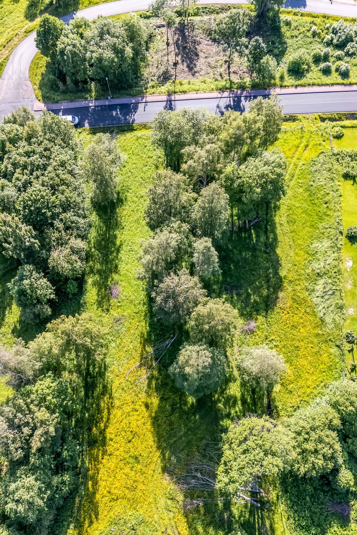 Översikts bild