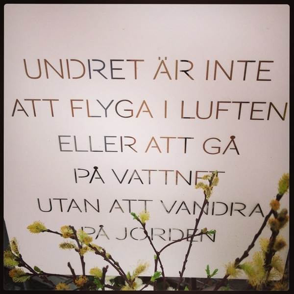   Undret är att vandra i fjällen