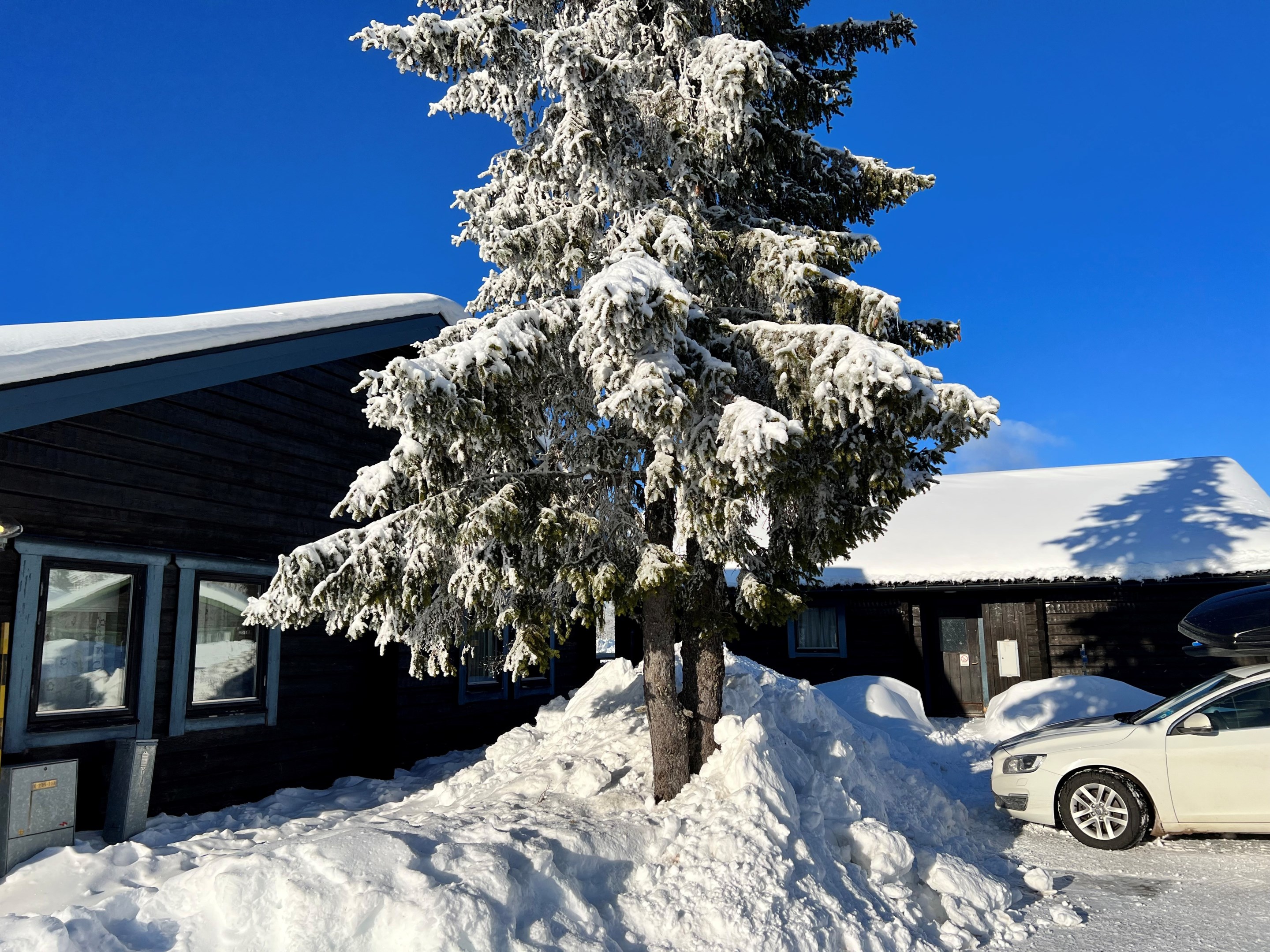 Sol, snö och fjällglädje – Hemfjällsbyn visar sin bästa sida!