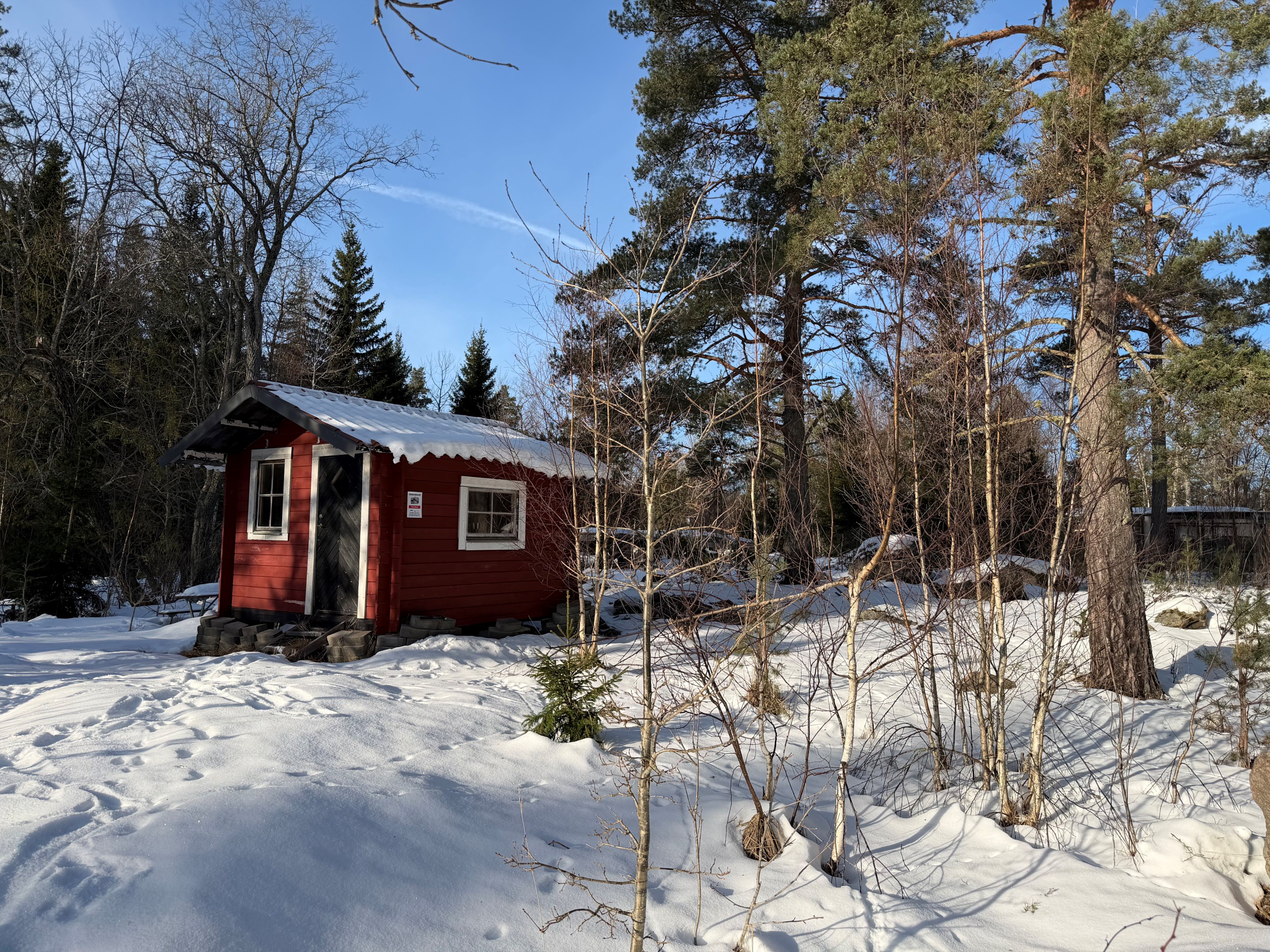 Fin naturtomt med enkel stuga idag