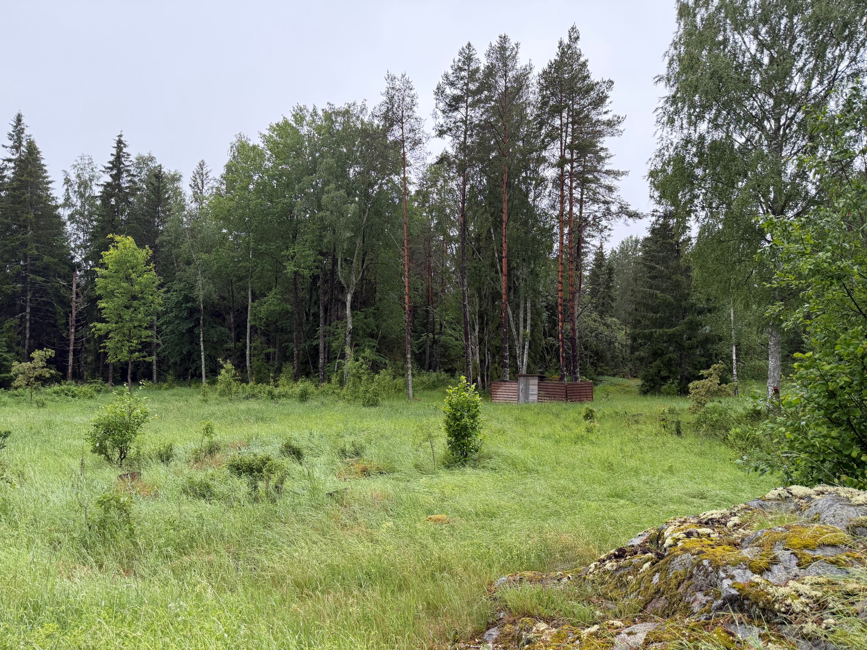 Sommarbild juni 2026