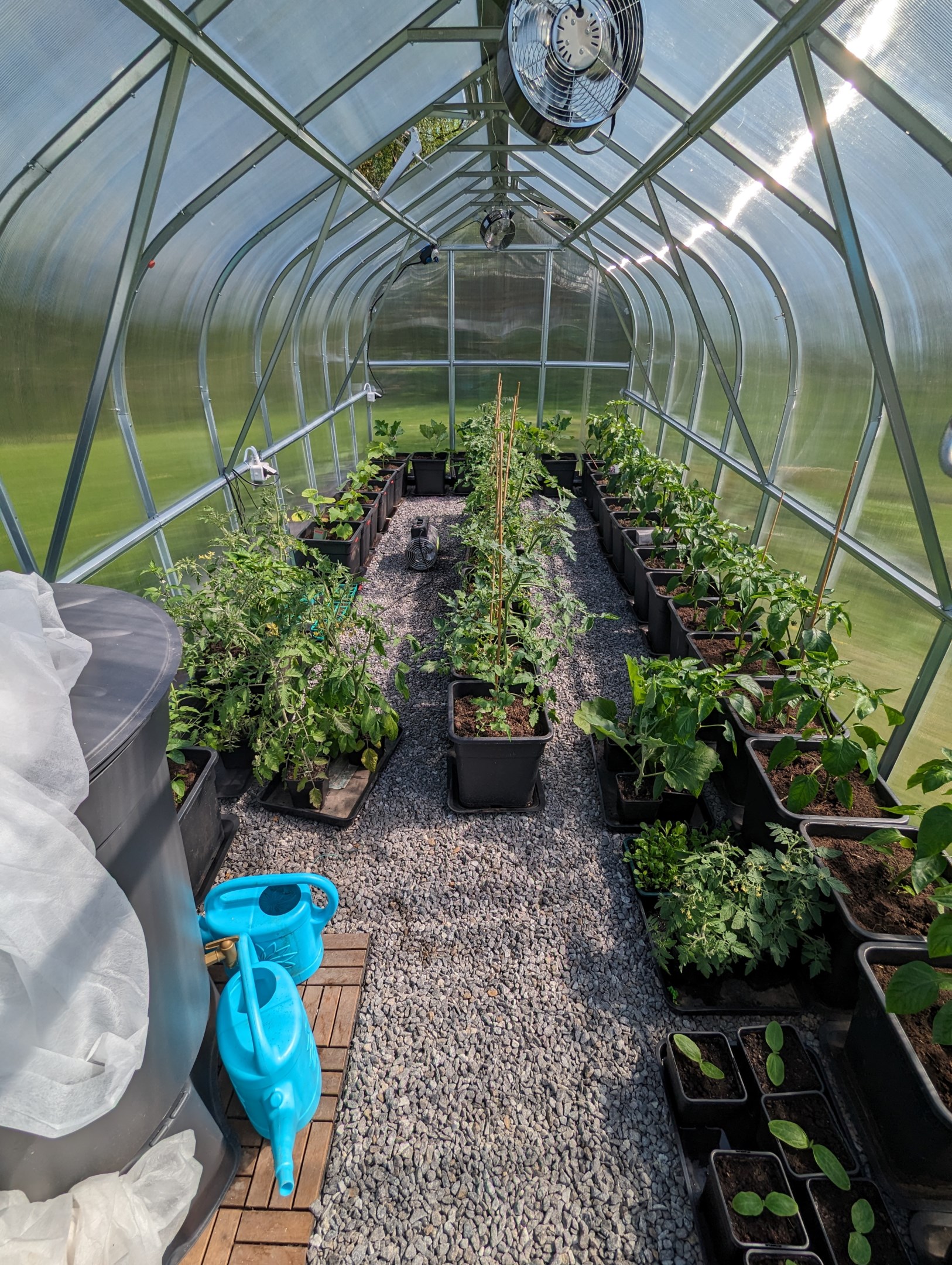 Säljarens sommarbild