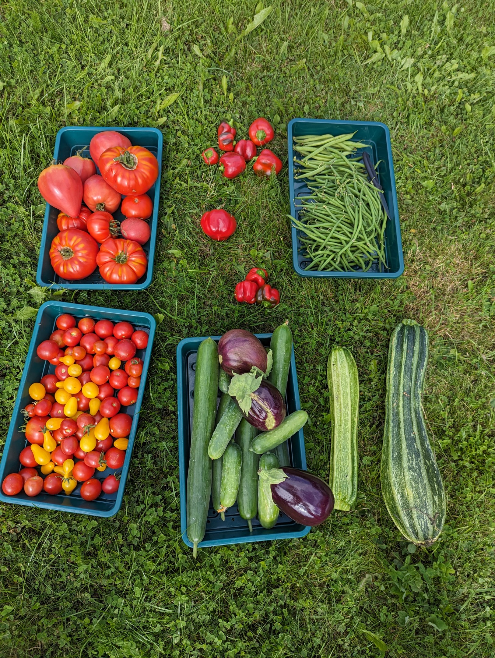 Säljarens sommarbild