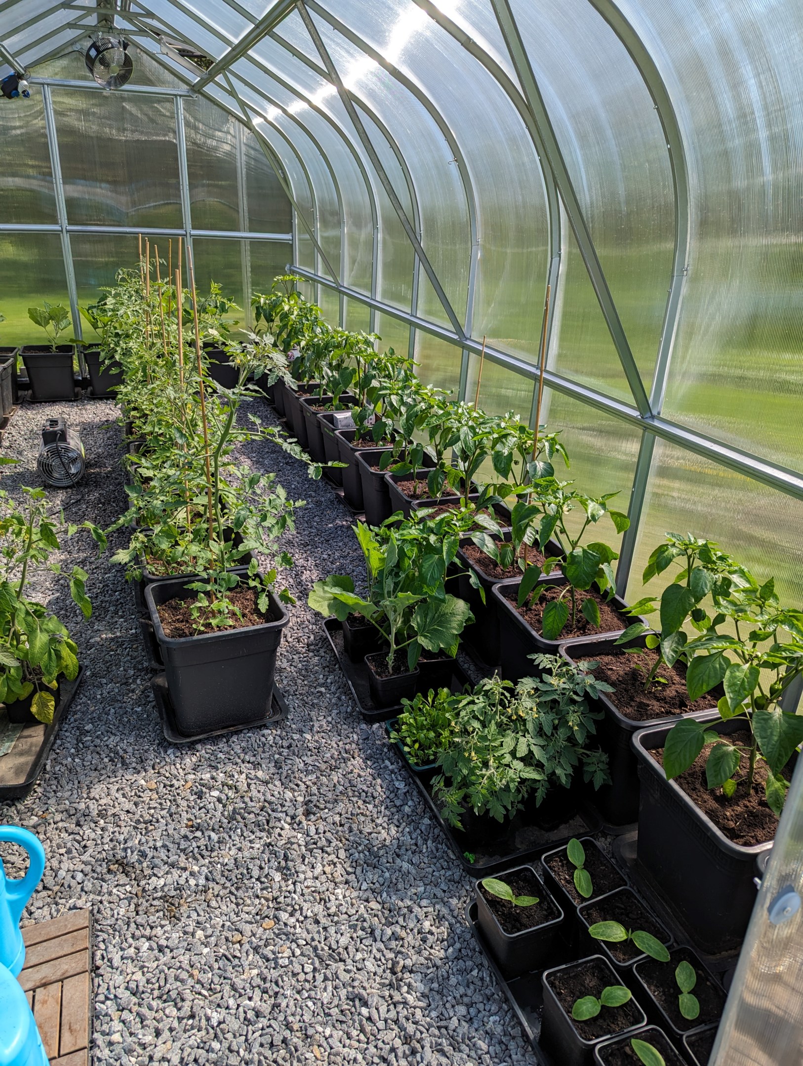 Säljarens sommarbild