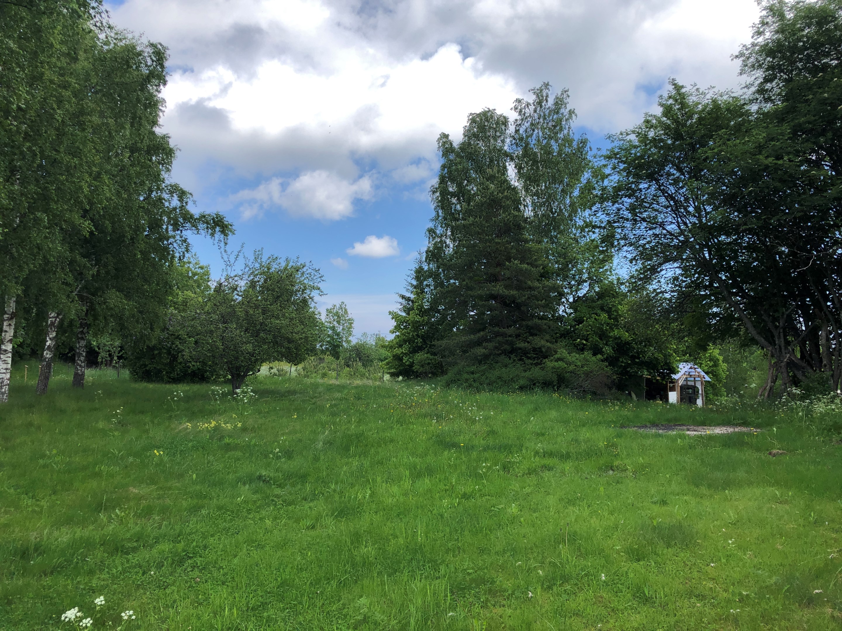 Äldre sommarbild från säljaren